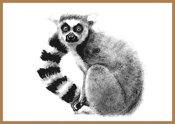 Lemur