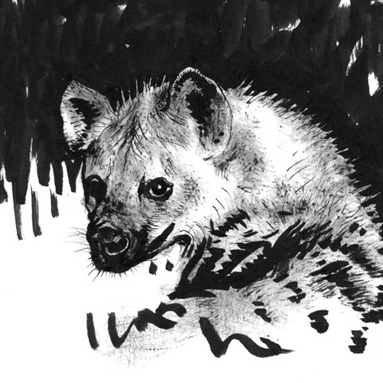 Tiere sehen uns an: Hyäne